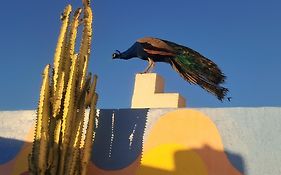 Buena Vista Morroco Guest House